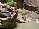 079_zion.jpg